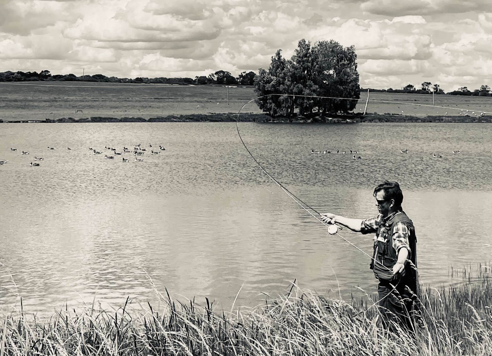 An angler casting from the reeds across a lake with geese on the water